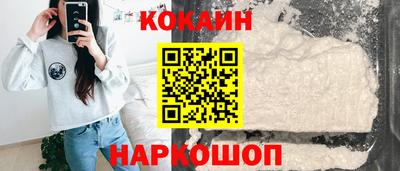индика Можга
