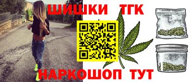 индика Можга