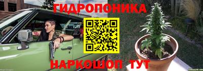 индика Можга