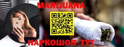 индика Можга