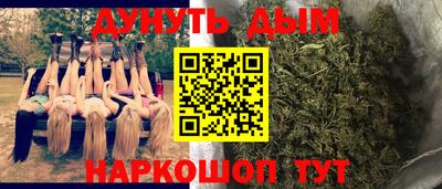шишки Можайск