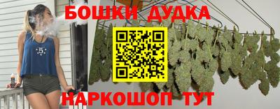 шишки Можайск
