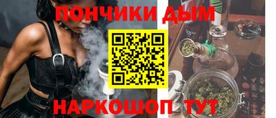 индика Можга