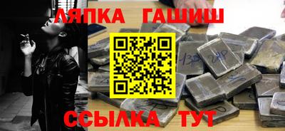 индика Можга