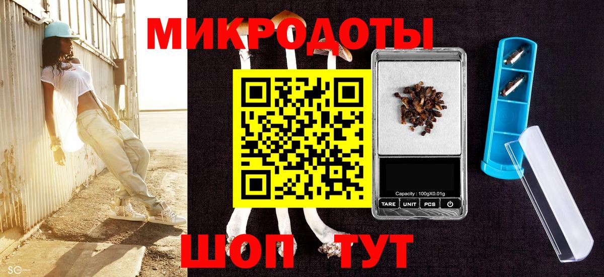 Псилоцибиновые грибы прущие грибы Шебекино