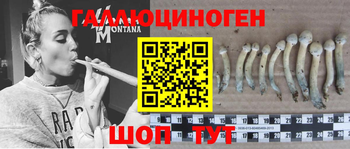 Псилоцибиновые грибы прущие грибы  Вход с VPN  Шебекино 